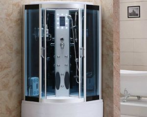 Porte de douche coulissante