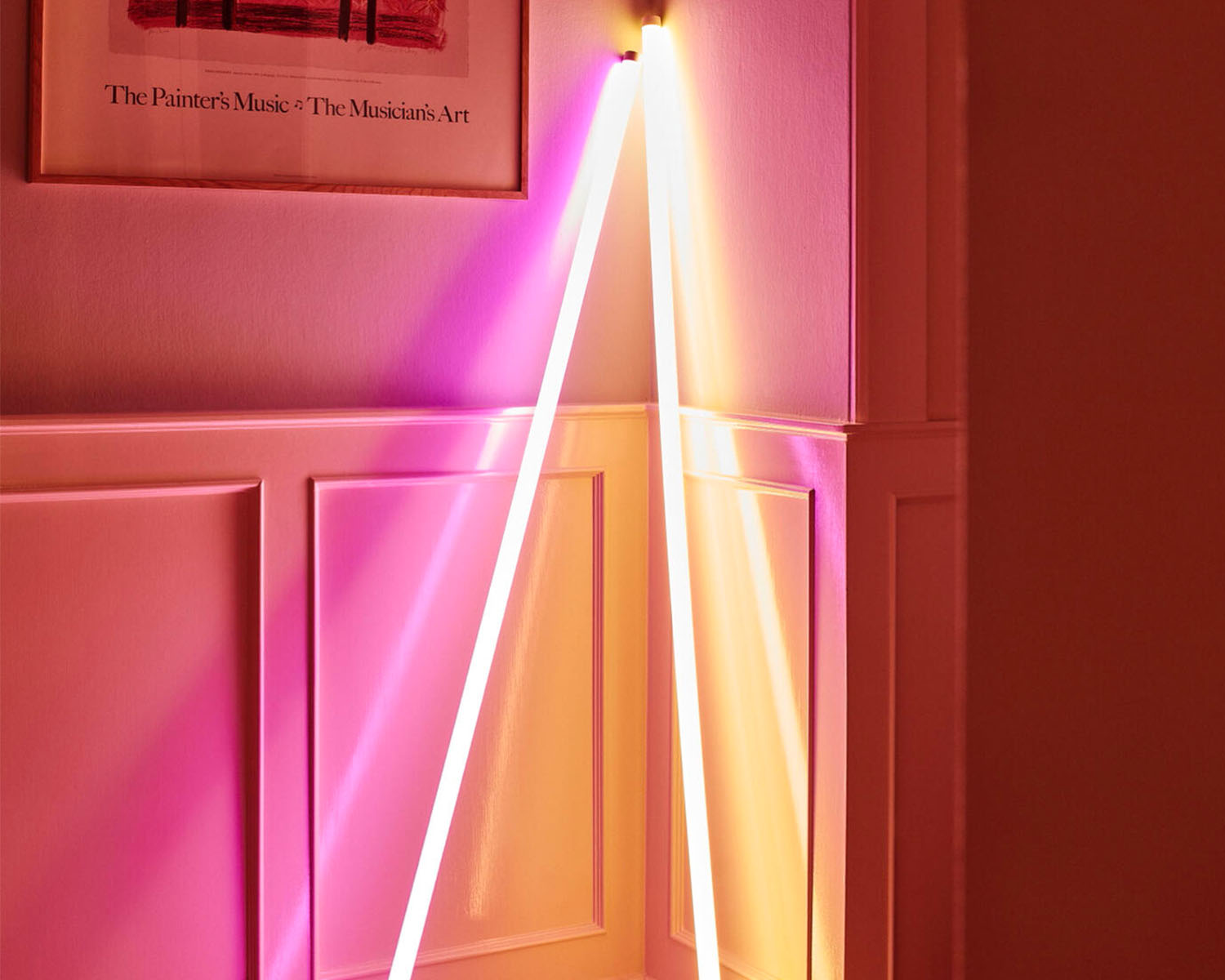 Lumière à tube à LED de néon foin