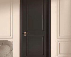 Portes intérieures noires modernes
