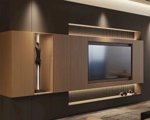 Cabinet télévisé pour la maison